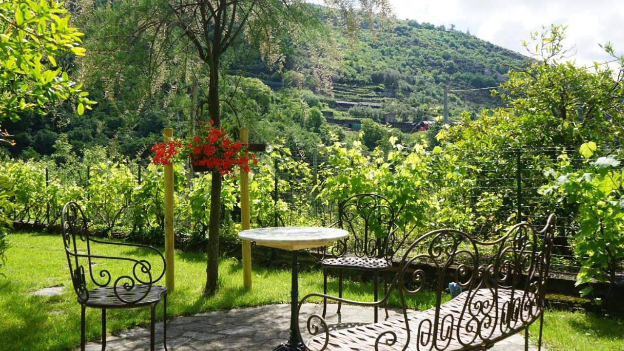 Bed & Breakfast La Libellula Rossa Erli