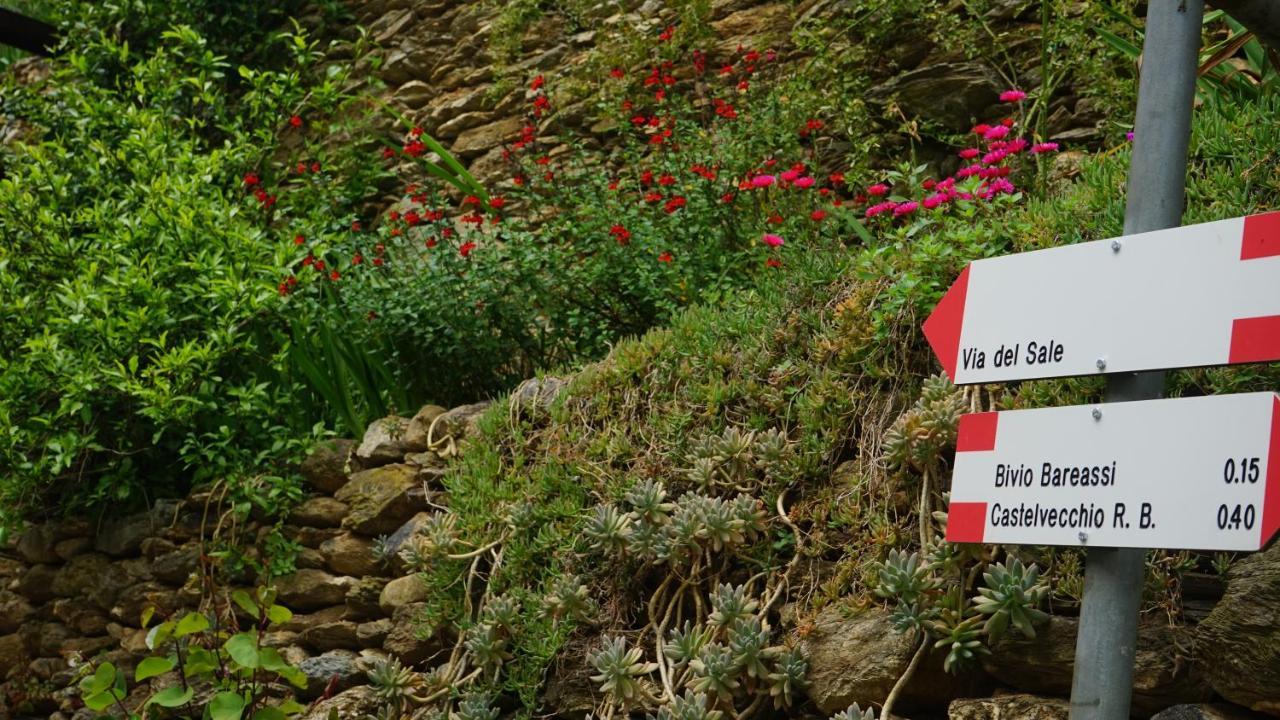 Bed & Breakfast La Libellula Rossa *